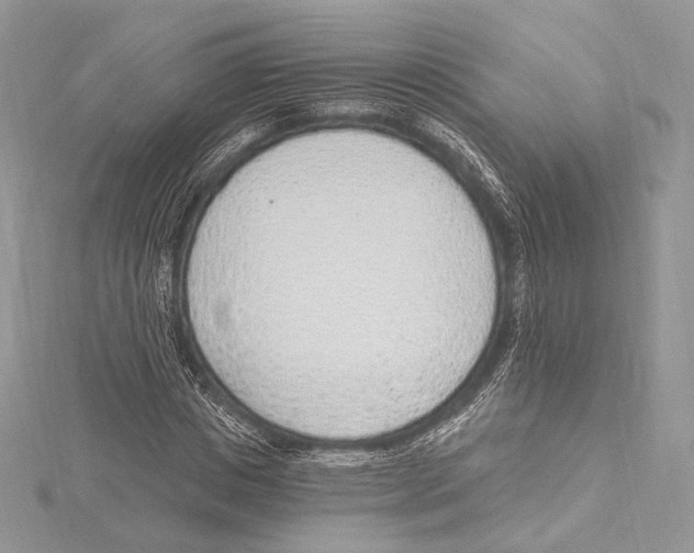 X0000115650825200912081123