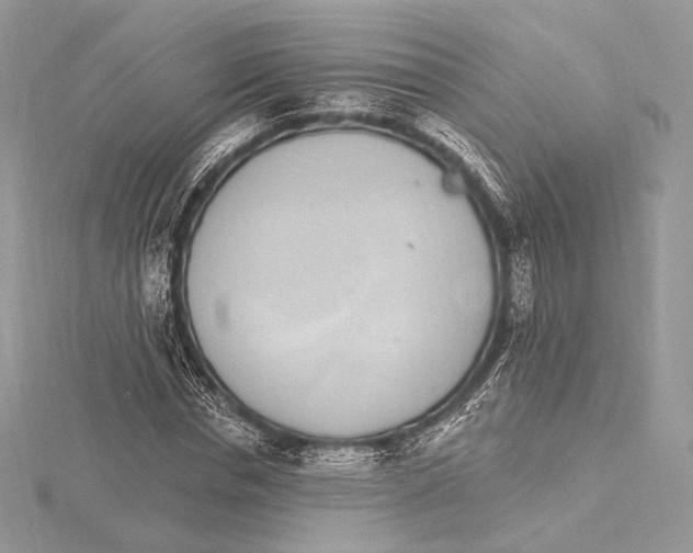 X0000115650826200912081123