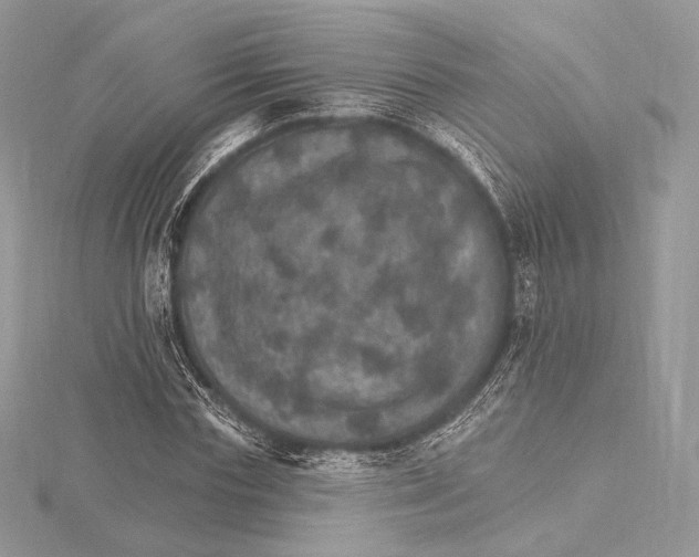 X0000115650827200912081123