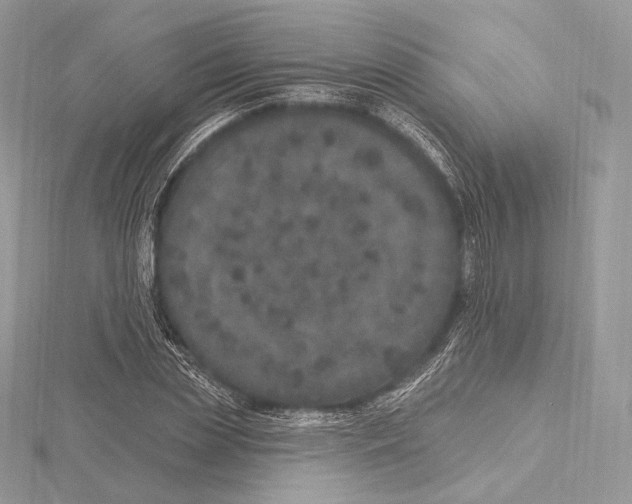 X0000115650829200912081123