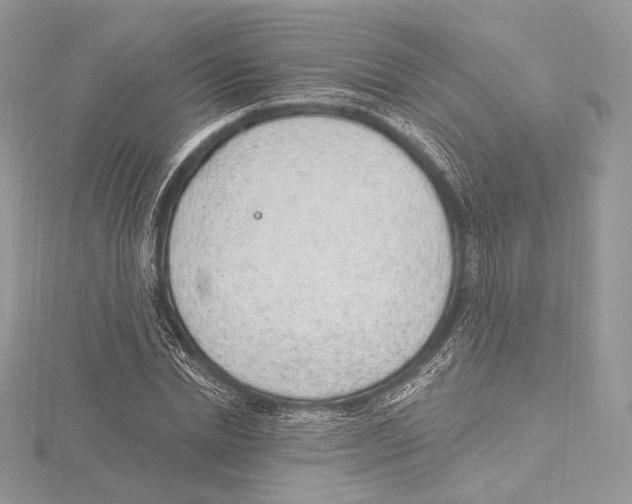 X0000115650830200912081123