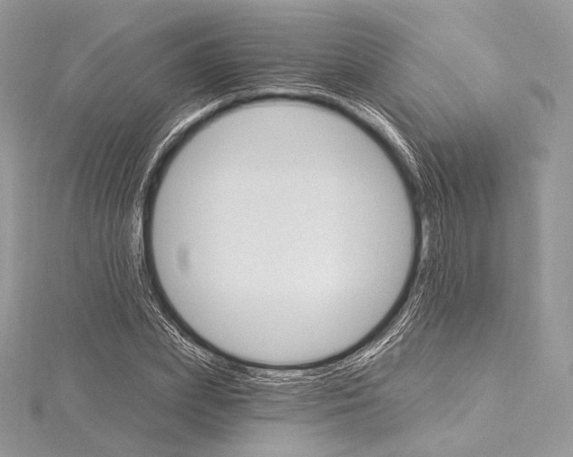 X0000115650831200912081123