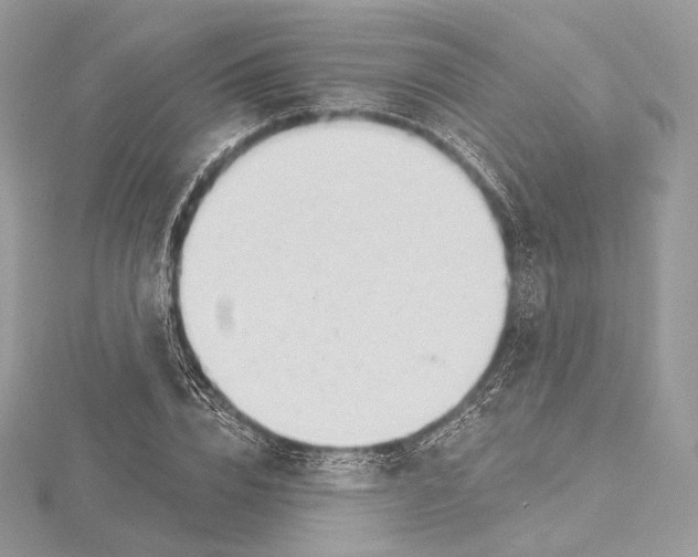 X0000115650832200912081123