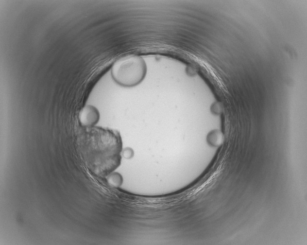 X0000115650833200912081123