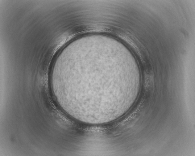 X0000115650834200912081123