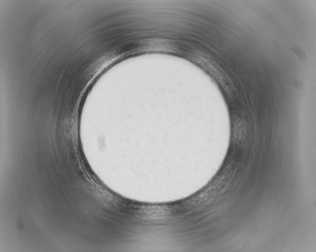 X0000115650836200912081123