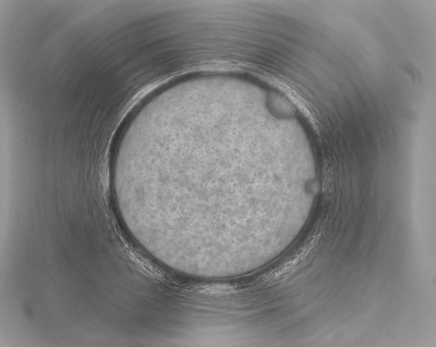 X0000115650837200912081123