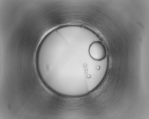 X0000115650838200912081123