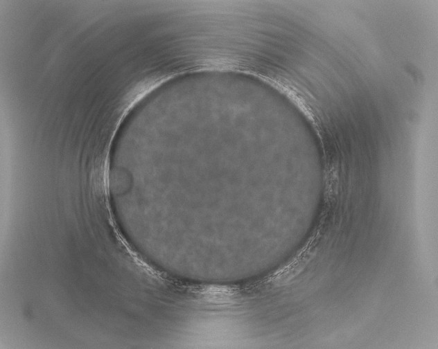 X0000115650839200912081123