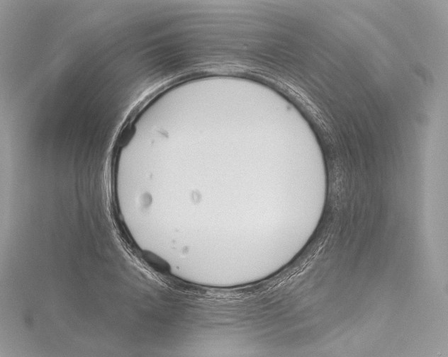 X0000115650840200912081123