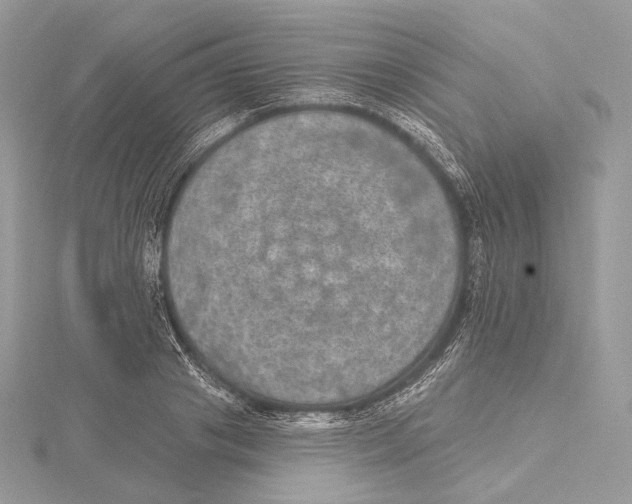 X0000115650841200912081123