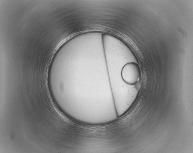 X0000115650842200912081123