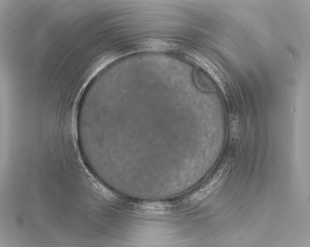 X0000115650843200912081123