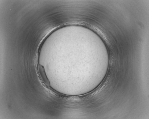 X0000115650844200912081123