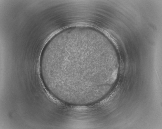 X0000115650845200912081123