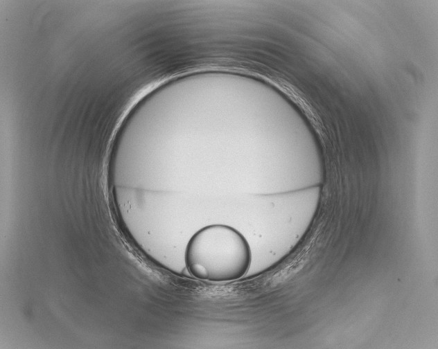 X0000115650846200912081123