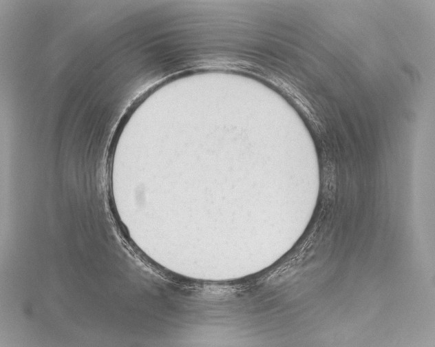 X0000115650848200912081123