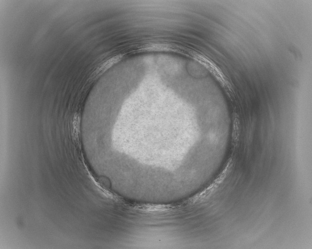 X0000115650849200912081123