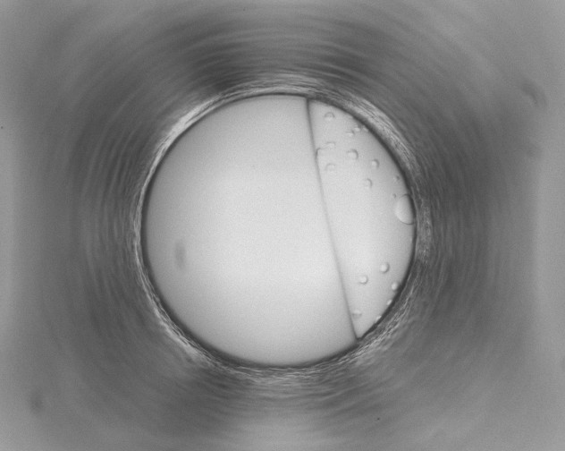 X0000115650850200912081123