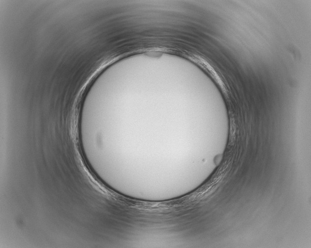 X0000115650851200912081123