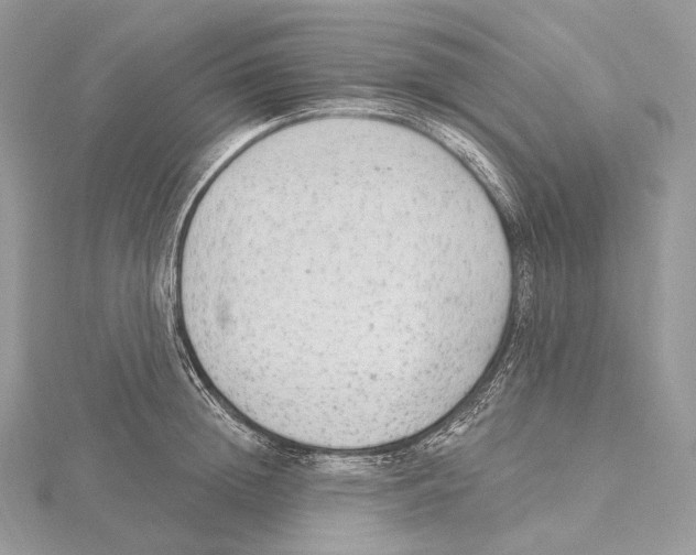 X0000115650852200912081123