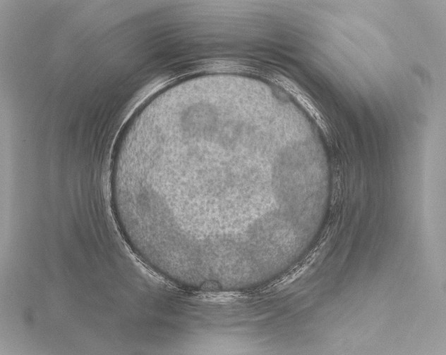 X0000115650853200912081123