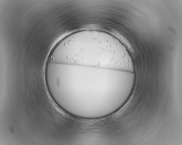 X0000115650854200912081123