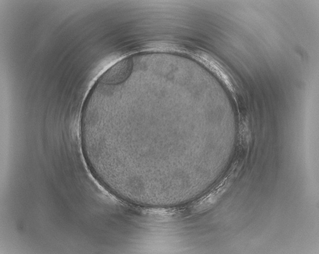 X0000115650855200912081123