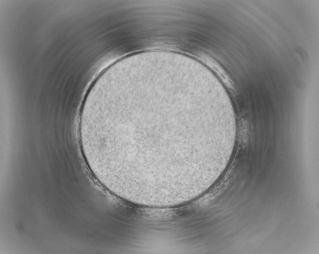 X0000115650856200912081123