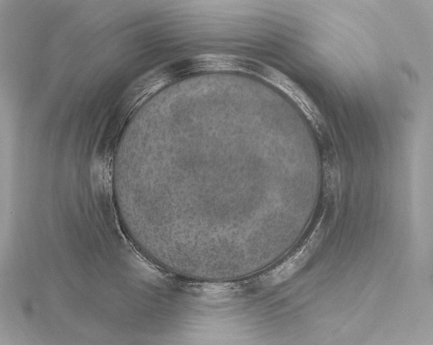 X0000115650857200912081123