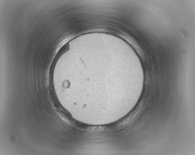 X0000115650858200912081124