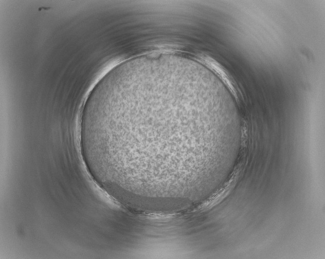 X0000115650859200912081124