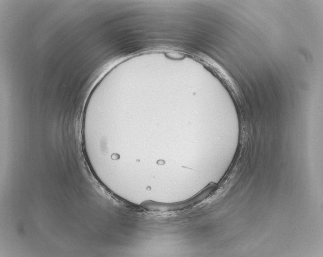 X0000115650860200912081124