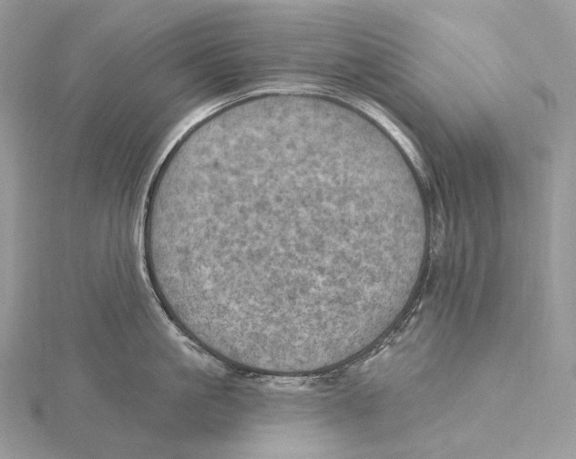 X0000115650861200912081124