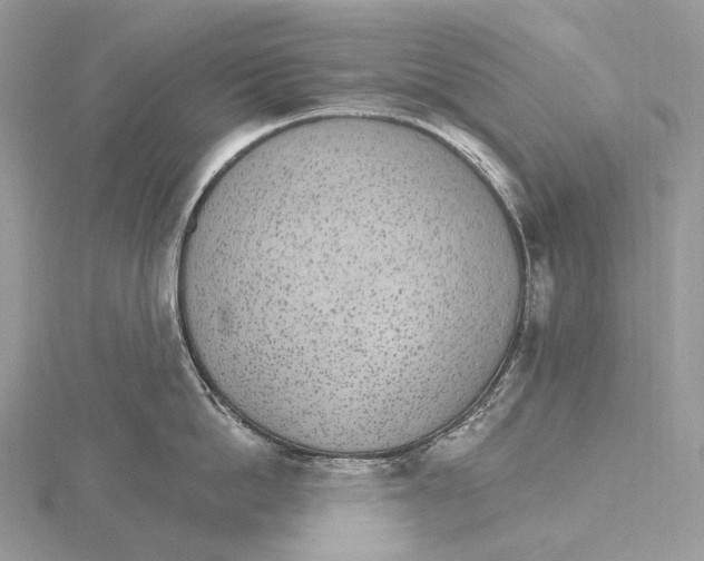 X0000115650862200912081124