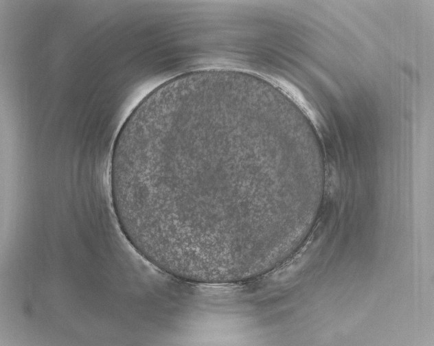 X0000115650863200912081124