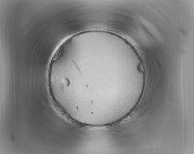 X0000115650864200912081124