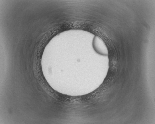 X0000115650865200912081123