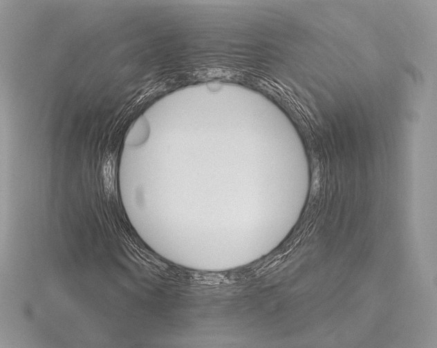 X0000115650866200912081123