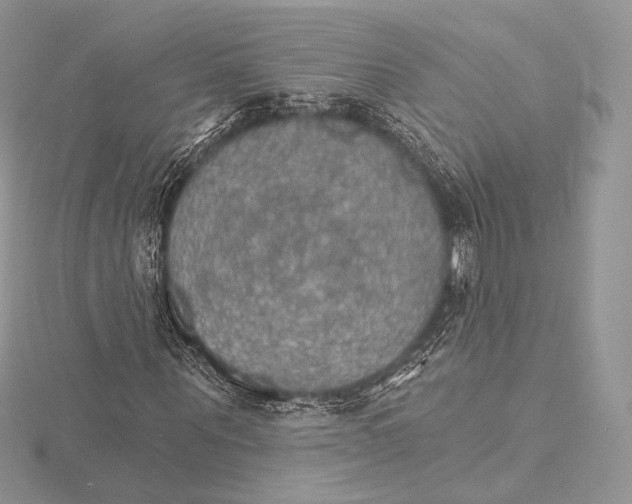 X0000115650867200912081123