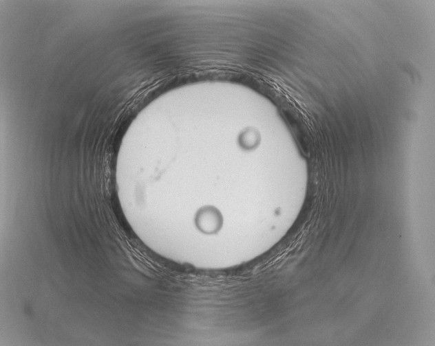 X0000115650868200912081123