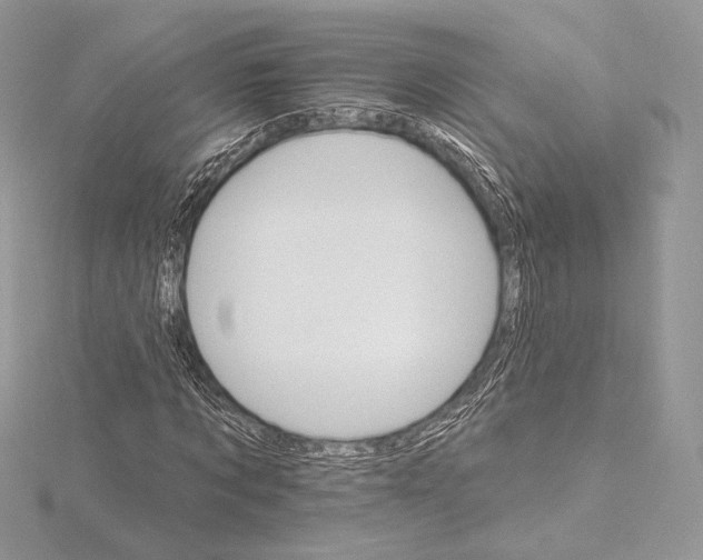 X0000115650869200912081123