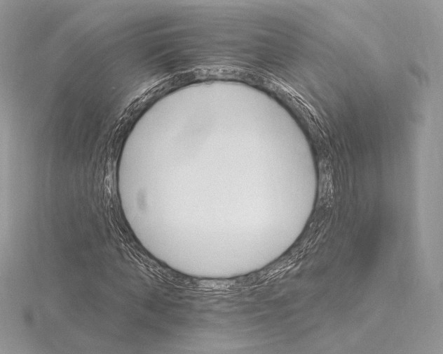 X0000115650870200912081123