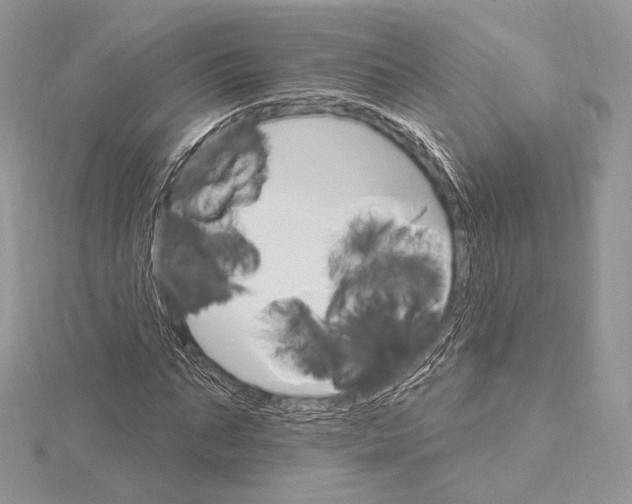 X0000115650871200912081123