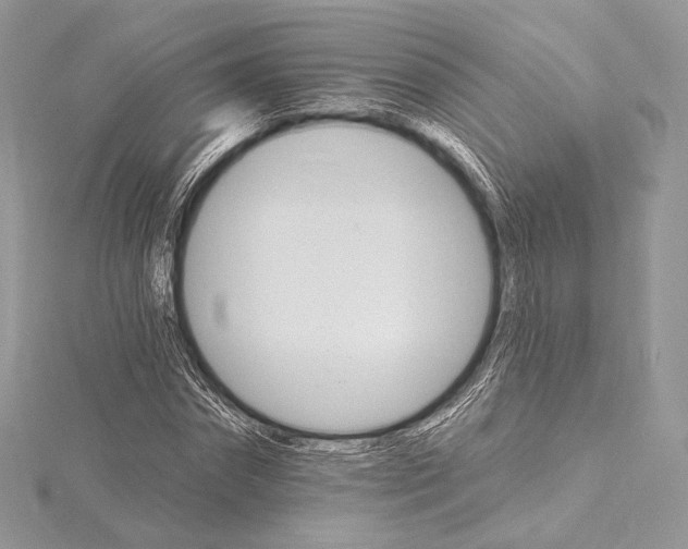 X0000115650874200912081123