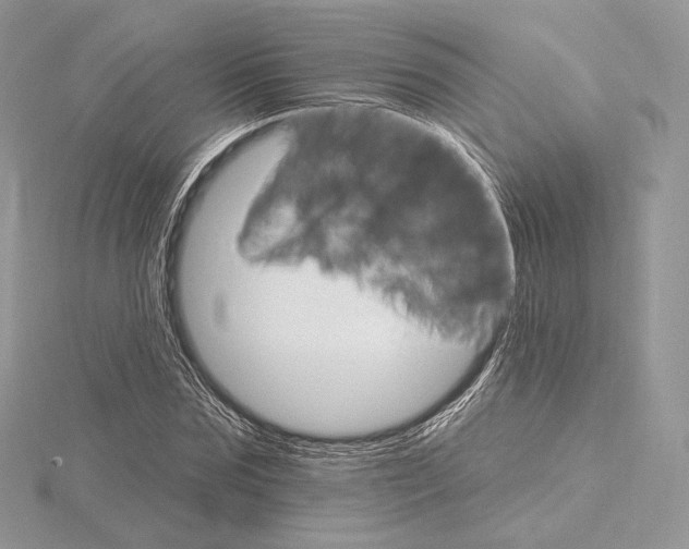 X0000115650875200912081123