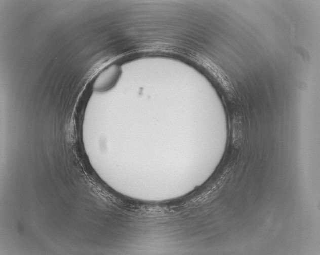 X0000115650876200912081123