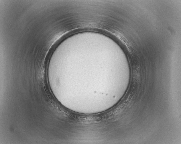 X0000115650879200912081123