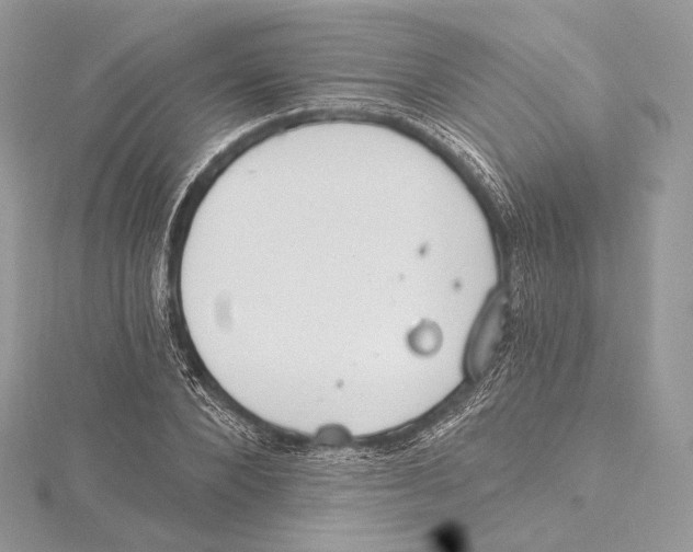 X0000115650880200912081123