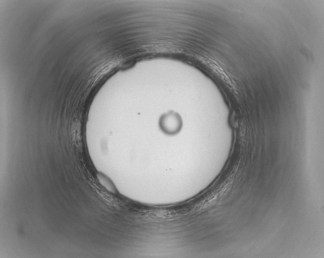 X0000115650881200912081123